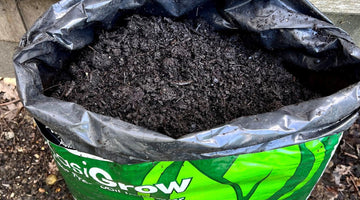 Potting compost - easy steps to make at home