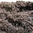 Load image into Gallery viewer, Ericaceous Compost - Bulk Bag