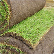 Load image into Gallery viewer, Premium Garden Turf For Lawns - Heritage Products