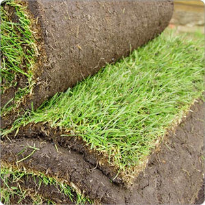Premium Garden Turf For Lawns - Heritage Products