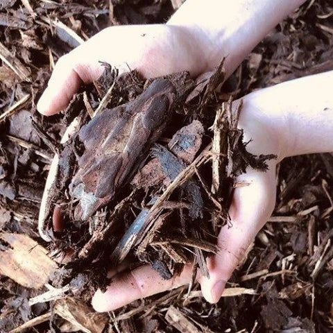 What is Mulch and How to Use It