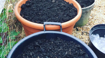 Compost: The Complete Guide