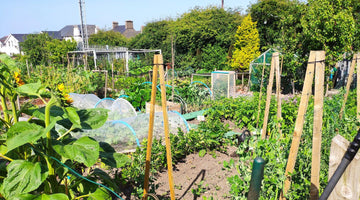 Allotments: Nurturing Green Growth with Heritage Products