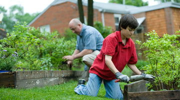 Railway Sleepers How To Use Them For Raised Beds