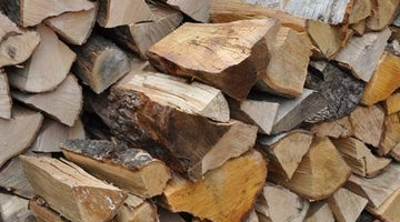 Types of Firewood: What Burns Best?