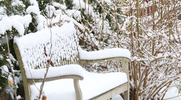 Winter Garden Prep: Mulch and Compost for Success