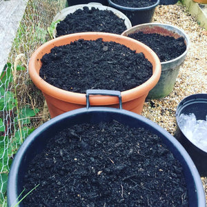 Premium Mushroom Compost - Bulk Bag