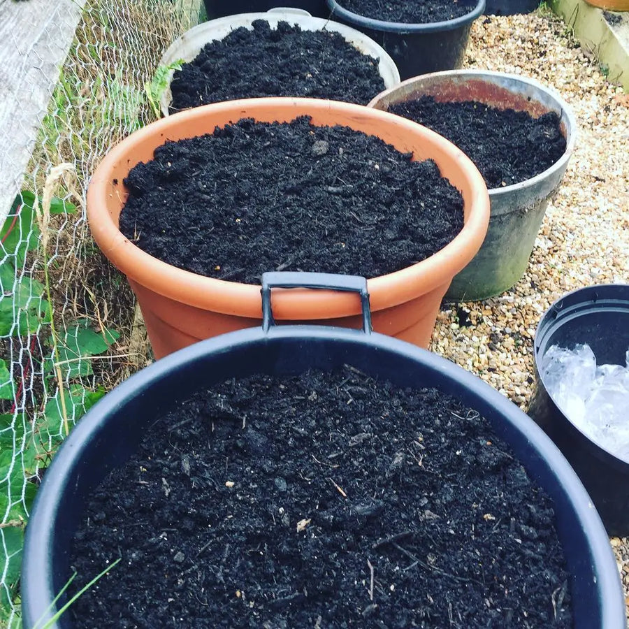 Premium Mushroom Compost - Bulk Bag