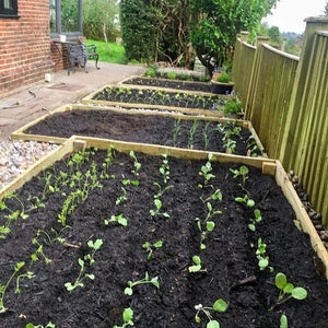 Organic Peat Free Vegetable Garden Compost - Bulk Bag
