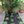 Load image into Gallery viewer, Sandy Loam Topsoil - Bulk Bag

