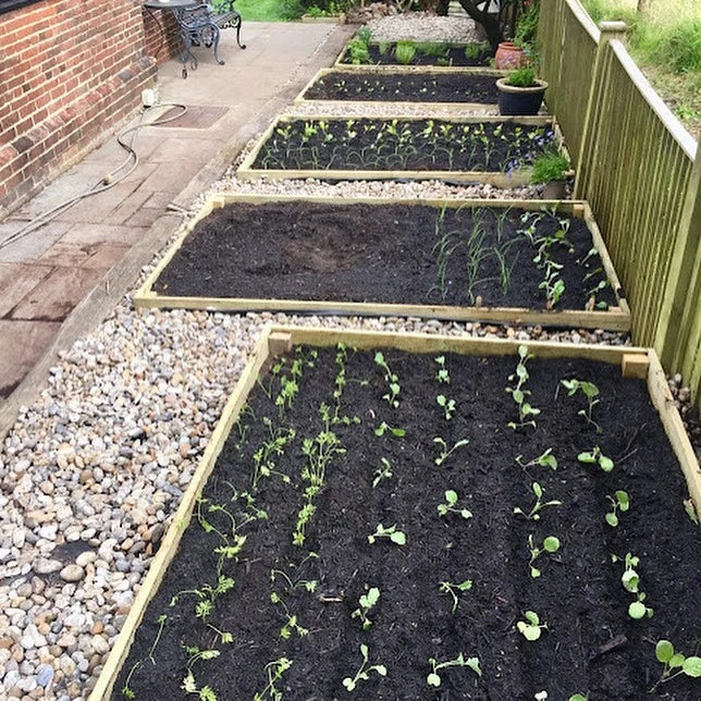 Raised Beds and Borders Organic Top Soil - Bulk Bag