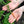 Load image into Gallery viewer, Organic Vegetable Topsoil - Bulk Bag
