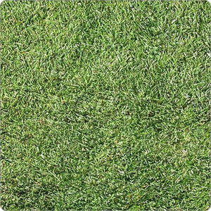 Premium Garden Turf For Lawns - Heritage Products