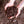 Load image into Gallery viewer, Premium Mushroom Compost - Heritage Products
